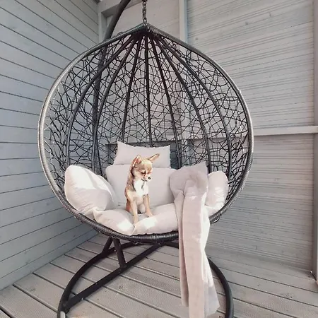 Patkachatka